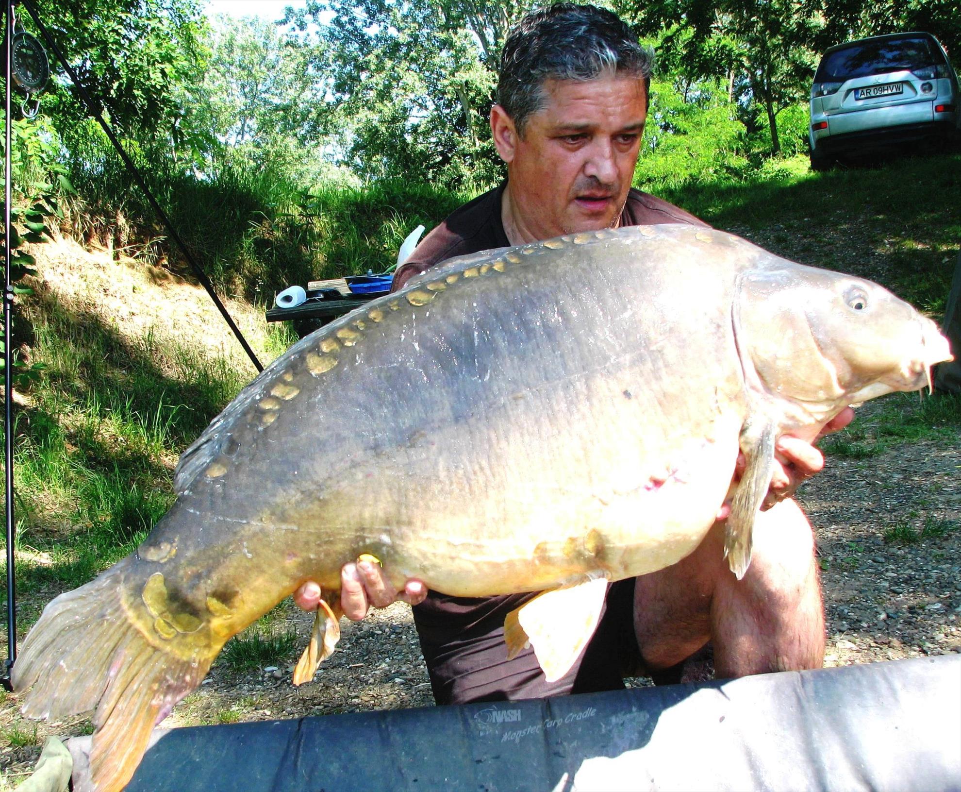 Pelagicevo Jezero  mai 2015 - img2140.JPG